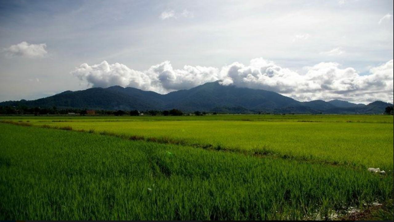 Barakah Homestay Alor Setar Exteriör bild